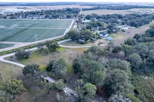 4305 Old Bartow Eagle Lake Rd, Bartow, FL 33830 - Photo 52