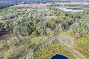 4305 Old Bartow Eagle Lake Rd, Bartow, FL 33830 - Photo 64