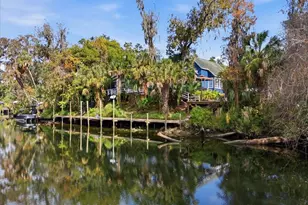 4703 Rambling River Rd, Brandon, FL 33511 - Photo 4