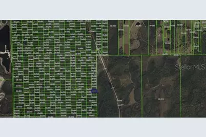 Dill Road, Orlando, FL 32820 - Photo 4