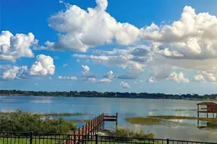 236 Caladium Ave, Lake Alfred, FL 33850 - Photo 44