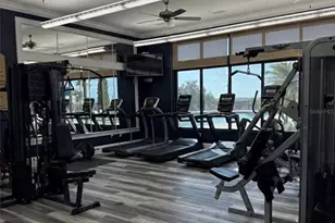 236 Caladium Ave, Lake Alfred, FL 33850 - Photo 54