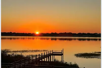 236 Caladium Avenue, Lake Alfred, FL 33850 - Photo 50