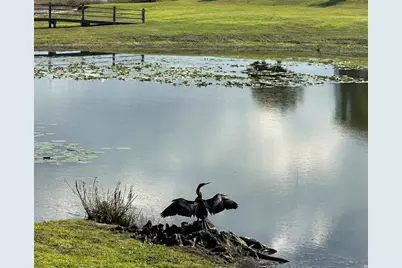 236 Caladium Avenue, Lake Alfred, FL 33850 - Photo 44