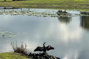 236 Caladium Ave, Lake Alfred, FL 33850 - Photo 44