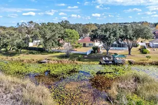 273 Hidden View Dr, Groveland, FL 34736 - Photo 24