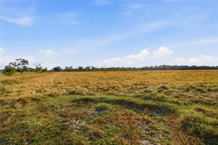3800 Gerber Dairy Rd, Winter Haven, FL 33880 - Photo 96