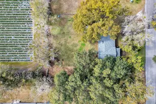 13713 Walden Sheffield Rd, Dover, FL 33527 - Photo 38