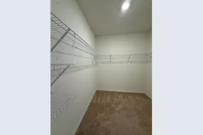 313 Sofia Lane, Lake Alfred, FL 33850 - Photo 14