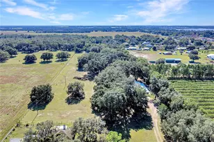 660 Old Bartow Lake Wales Rd, Bartow, FL 33830 - Photo 88