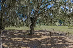 660 Old Bartow Lake Wales Rd, Bartow, FL 33830 - Photo 58