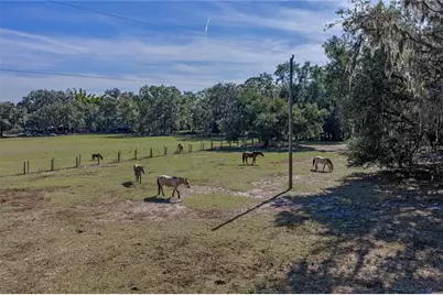660 Old Bartow Lake Wales Road, Bartow, FL 33830 - Photo 62