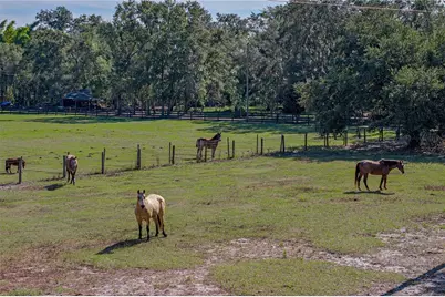660 Old Bartow Lake Wales Road, Bartow, FL 33830 - Photo 6