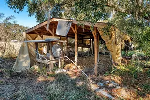 508 N St Cloud Ave, Valrico, FL 33594 - Photo 38