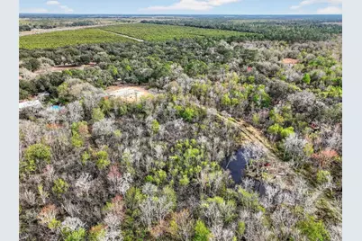 168 Walk in Water Creek Road, Lake Wales, FL 33898 - Photo 8