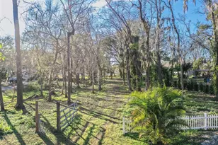 5028 Clewis Ave, Tampa, FL 33610 - Photo 32