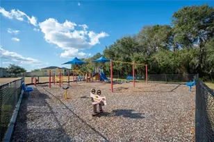 3387 Fiddle Leaf Way, Lakeland, FL 33811 - Photo 68