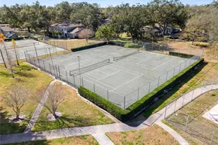 11902 Lakemist Cir, Temple Terrace, FL 33617 - Photo 34