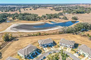 7014 Ripple Pond Loop, Zephyrhills, FL 33541 - Photo 20