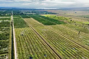 3288 Auburn St, Lorida, FL 33857 - Photo 6