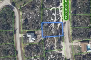 333 Coolidge Ave NE, Lake Placid, FL 33852 - Photo 2