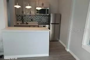 1919 W North A St, Tampa, FL 33606 - Photo 60