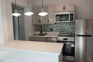 1919 W North A St, Tampa, FL 33606 - Photo 58