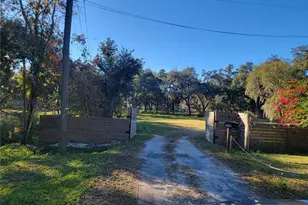 3120 Boggy Terrace Dr, Kissimmee, FL 34744 - Photo 30