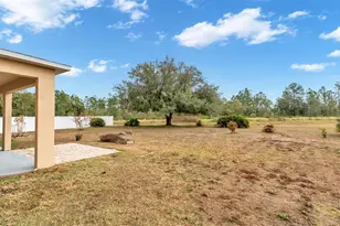 737 Parrot Ct, Kissimmee, FL 34759 - Photo 20