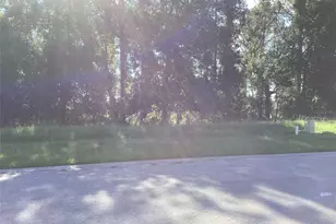 4589 Majestic Hills Loop, Brooksville, FL 34601 - Photo 1