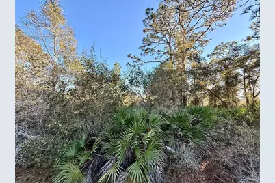 903 Hibiscus Drive, Indian Lake Estates, FL 33855 - Photo 2