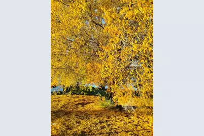 417 E Main Street, Dundee, FL 33838 - Photo 22