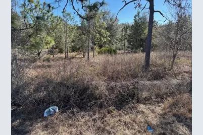 Old Grade Road, Polk City, FL 33868 - Photo 6