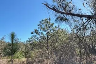 Old Grade Rd, Polk City, FL 33868 - Photo 1