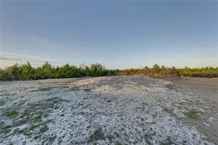 7391 Orlando Dr, Lake Wales, FL 33855 - Photo 30