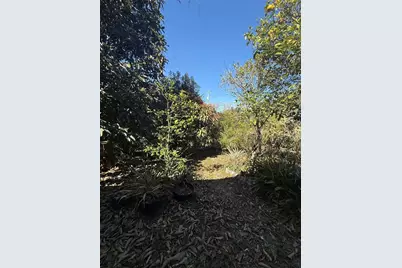 234 Trailview Way, Polk City, FL 33868 - Photo 30