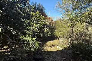 234 Trailview Way, Polk City, FL 33868 - Photo 30