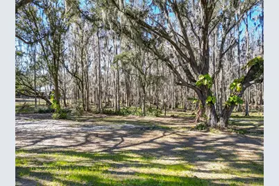7405 Shoupe Road, Plant City, FL 33565 - Photo 58