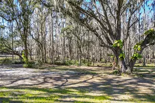 7405 Shoupe Rd, Plant City, FL 33565 - Photo 58