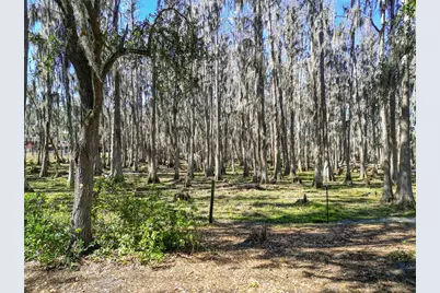 7405 Shoupe Road, Plant City, FL 33565 - Photo 60