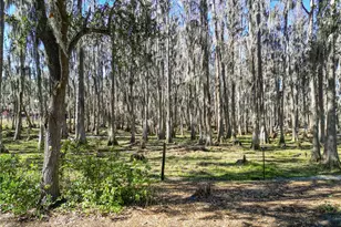 7405 Shoupe Rd, Plant City, FL 33565 - Photo 60