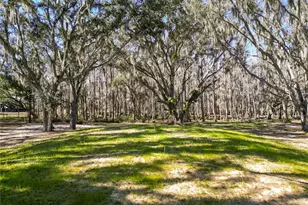 7405 Shoupe Rd, Plant City, FL 33565 - Photo 62