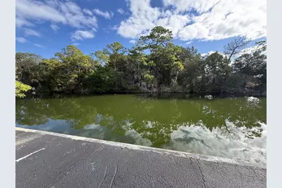 4004 Shoal Line Boulevard, Hernando Beach, FL 34607 - Photo 6