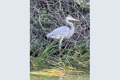 4004 Shoal Line Boulevard, Hernando Beach, FL 34607 - Photo 16