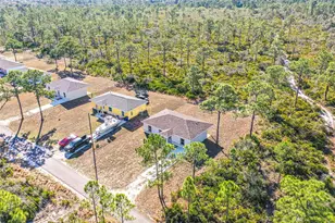 1403 Bittersweet St, Lake Placid, FL 33852 - Photo 20