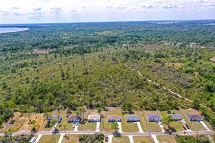 1411 Bittersweet St, Lake Placid, FL 33852 - Photo 18