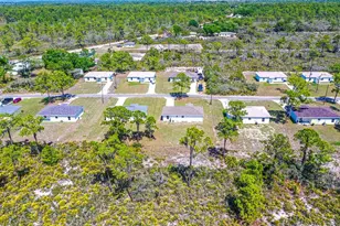 1411 Bittersweet St, Lake Placid, FL 33852 - Photo 16