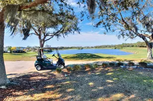 6583 Eagle Ridge Way, Lakeland, FL 33813 - Photo 78