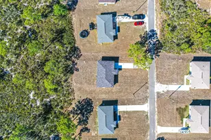 1407 Bittersweet St, Lake Placid, FL 33852 - Photo 18