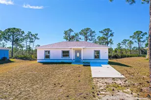 1407 Bittersweet St, Lake Placid, FL 33852 - Photo 1